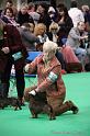 Crufts2011_2 917